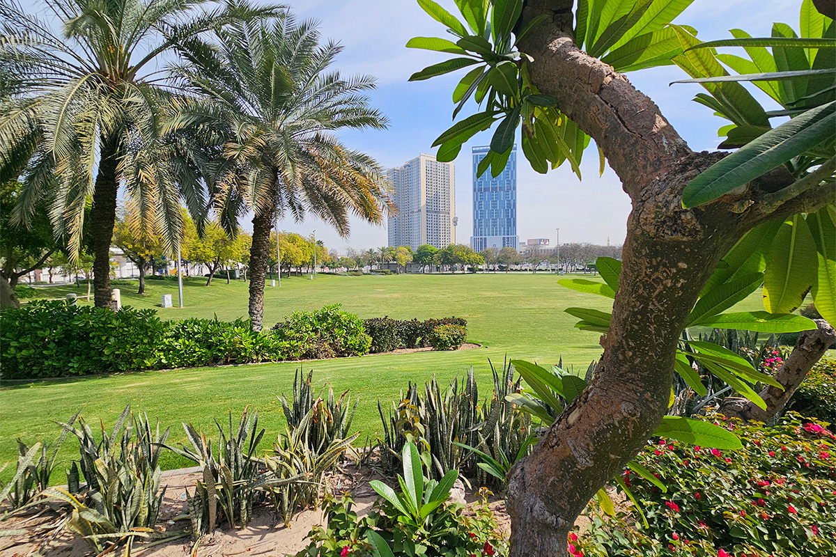 Zabeel Park Iconic Park Orient Irrigation Services Contracting Construction